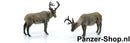 spur-tt-Rendieren-4
[mwwsrc:00479e16ad5748f9bdecca4ed5b09e463c99cd53.jpg]