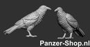 spur-tt-Raven-3
[mwwsrc:8531ec5e9d843051c7473c78bbe74d601e0235e0.jpg]