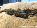 spur-tt-Wehrmacht-Set-6-|-Zittende-Soldaten-3
[mwwsrc:be7102b12d1ae5caa79233798c3fdc07ca94ac74.jpg]