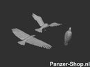 spur (H0) Adler Modell