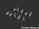 spur (H0) Kaninchen Modell
