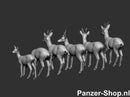 spur (H0) Rehe Modell