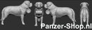 spur (N) Bernhardiner-Hunde Modell