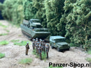 spur (N) IFA P3, Plane Modell