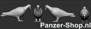spur (TT) Tauben Modell